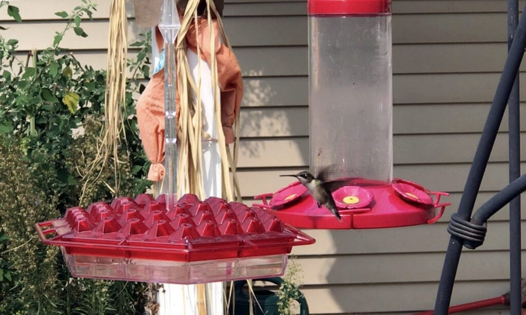 A hummingbird feeder is hanging on the side of a house.