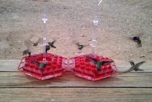 A couple of red plastic containers with some humming birds in them.