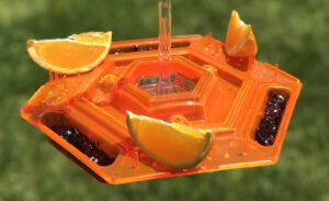 A close up of an orange and lime in a bird feeder