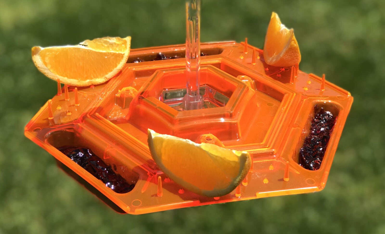 A close up of an orange and lime in a bird feeder